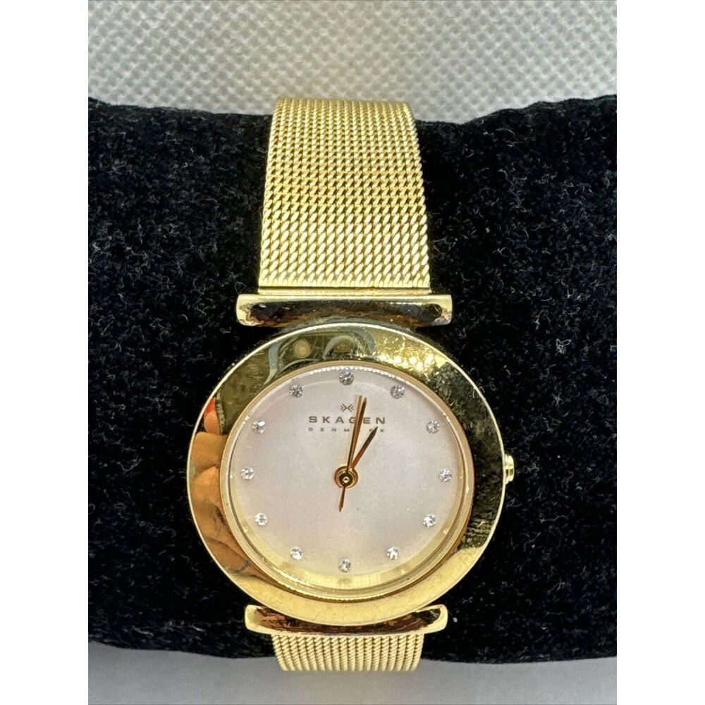 Skagen 107SGGD Women's Gold Tone Stainless Steel Analog Dial Quartz Watch AEA209